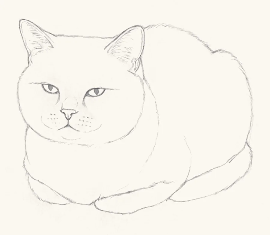 Step 4